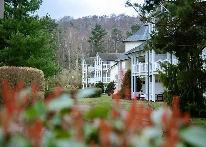 Lejlighed Duenenpark - Komfort Mit 1 Schlafzimmer Und Balkon Im Dachgeschoss 024 *